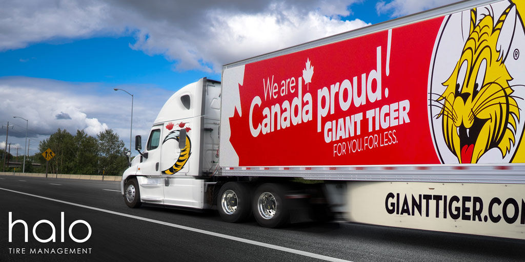 Now here’s something to roar about! Halo has been rolling out onto Giant Tiger's fleet for the last 2 years and it's a partnership Aperia is proud to have on this side of the Great White North!

#truckindustry #truckbusiness #GiantTiger #predictivetiremaintenance