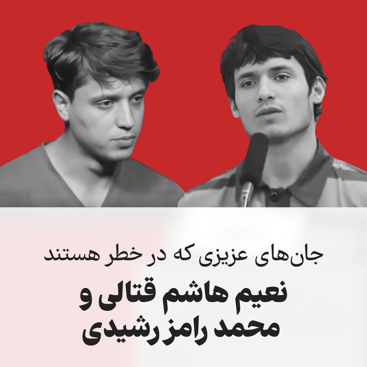 Three other Iranian youths who have been sentenced to death.
Their lives are in danger, and they may be executed every time.⚠️😔

#MohammadGhobadloo 
#NaeimHashemGhotali 
#MohammadRamezRashidi 

Be their voice 🕊️📢
#IranRevoIution