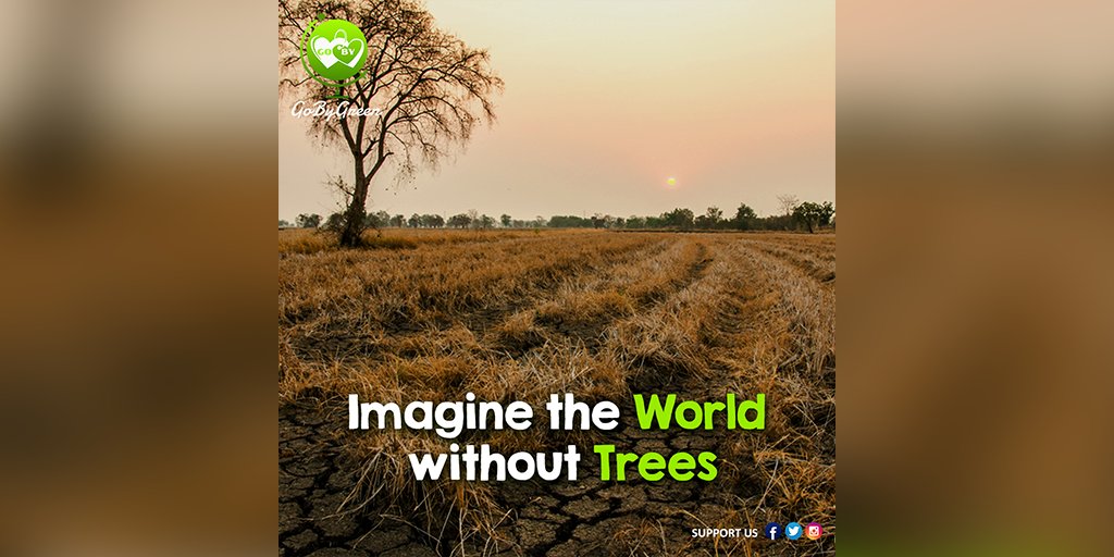 Plant Trees, Save the World 😇

#GoByGreen #gobygreenoff #GoByHolidays #gogreen #environment #plants #plantlife #plantation #saveforest #savetrees #saveearth #gogreen #nature #savetheplanet #ecofriendly #savewater #earth #climatechange #zerowaste #savenature #plasticfree #oxygen