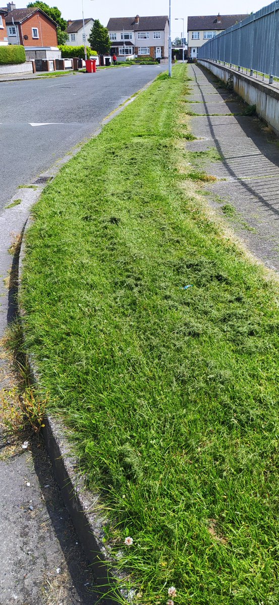 YeyesShamrock's tweet photo. @DCCcabraglasnev @DubCityCouncil It would be great it the money going into mowing #dunard pk every week could be invested into adding planters and more trees to the state. These photos are from this morning, dry and sad looking now; also mowed on the 15. and 4. of this month. I just don't understand it. https://t.co/KkIITKMN52