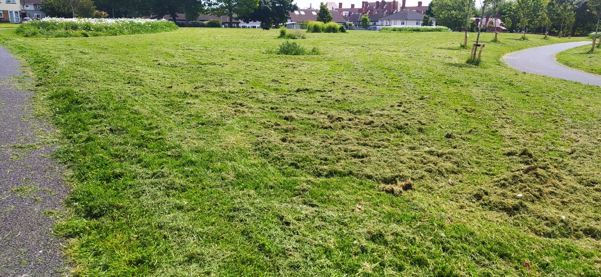 YeyesShamrock's tweet photo. @DCCcabraglasnev @DubCityCouncil It would be great it the money going into mowing #dunard pk every week could be invested into adding planters and more trees to the state. These photos are from this morning, dry and sad looking now; also mowed on the 15. and 4. of this month. I just don't understand it. https://t.co/KkIITKMN52