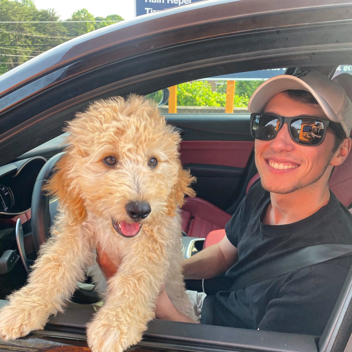 How about these two!? 😍 

Huck 🐶 demanded that his pup-chariot be extra squeaky clean for rides with dad!