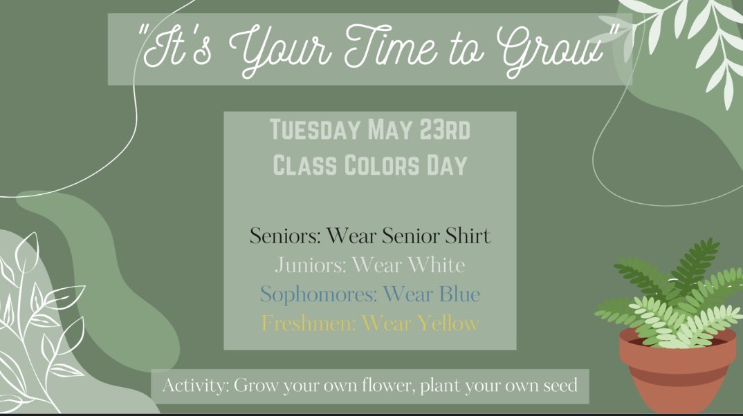 Miss Greenstein tweet media