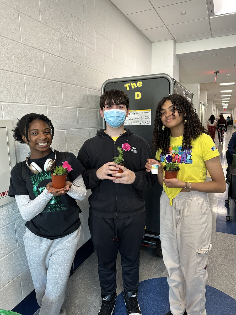 Miss Greenstein tweet media