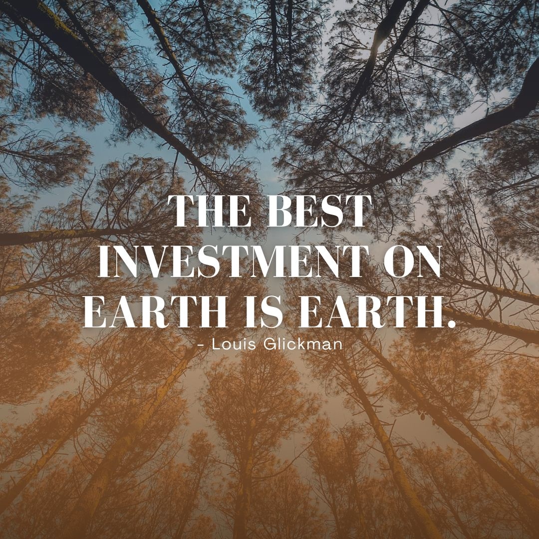creopHQ's tweet photo. That statement couldn't be more accurate when it comes to #commercialrealestate. #Commercialproperties hold immense potential for #investors, offering a tangible and enduring asset that can yield remarkable returns. 🍃🏨🏢🏛

#CREOP #onlinemanagement #realestate https://t.co/hcHRydabY9