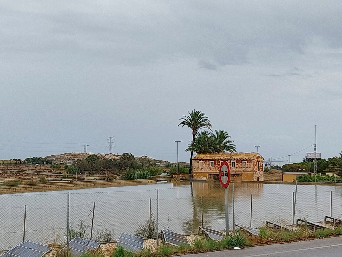 JorgePay1's tweet image. Des de l&apos;anomenat #pantanet de Mutxamel, just després de que deixara d&apos;entrar-li aigua, puix ja és troba ple, de gom a gom.
Al video dic que és 22 de maig🤦🏻‍♂️, però es una herrada, volia dir 23 de maig 😉👍🏻.