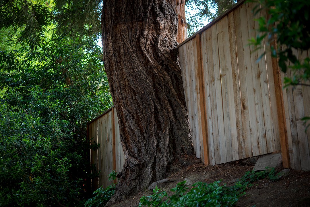 Kram's tweet image. How we fence in Portland.