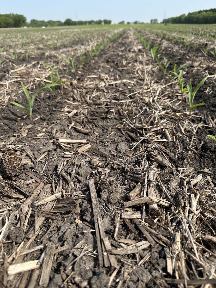 Fertman23's tweet image. #moneygrowsintherows. This growers first year of #furrowjet ⁦@PrecisionPlant⁩. Won’t do it any other way applying ⁦@NACHURS⁩ #impulse &amp;amp; #cropmax plus some other goodies. #plant23