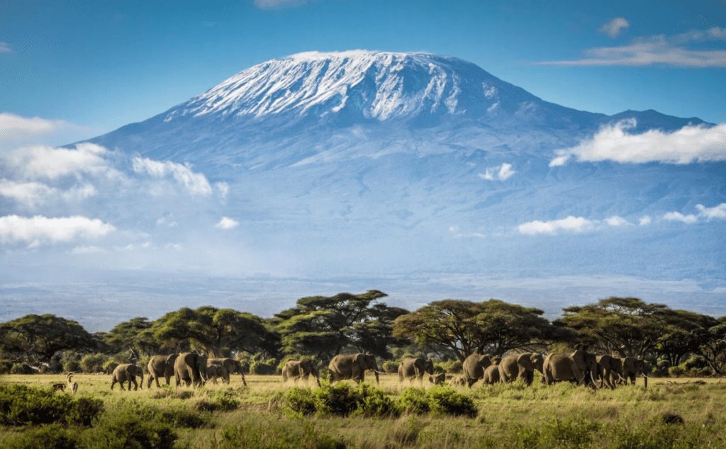 Beautiful Mount Kilimanjaro, Tanzania 🇹🇿😍
