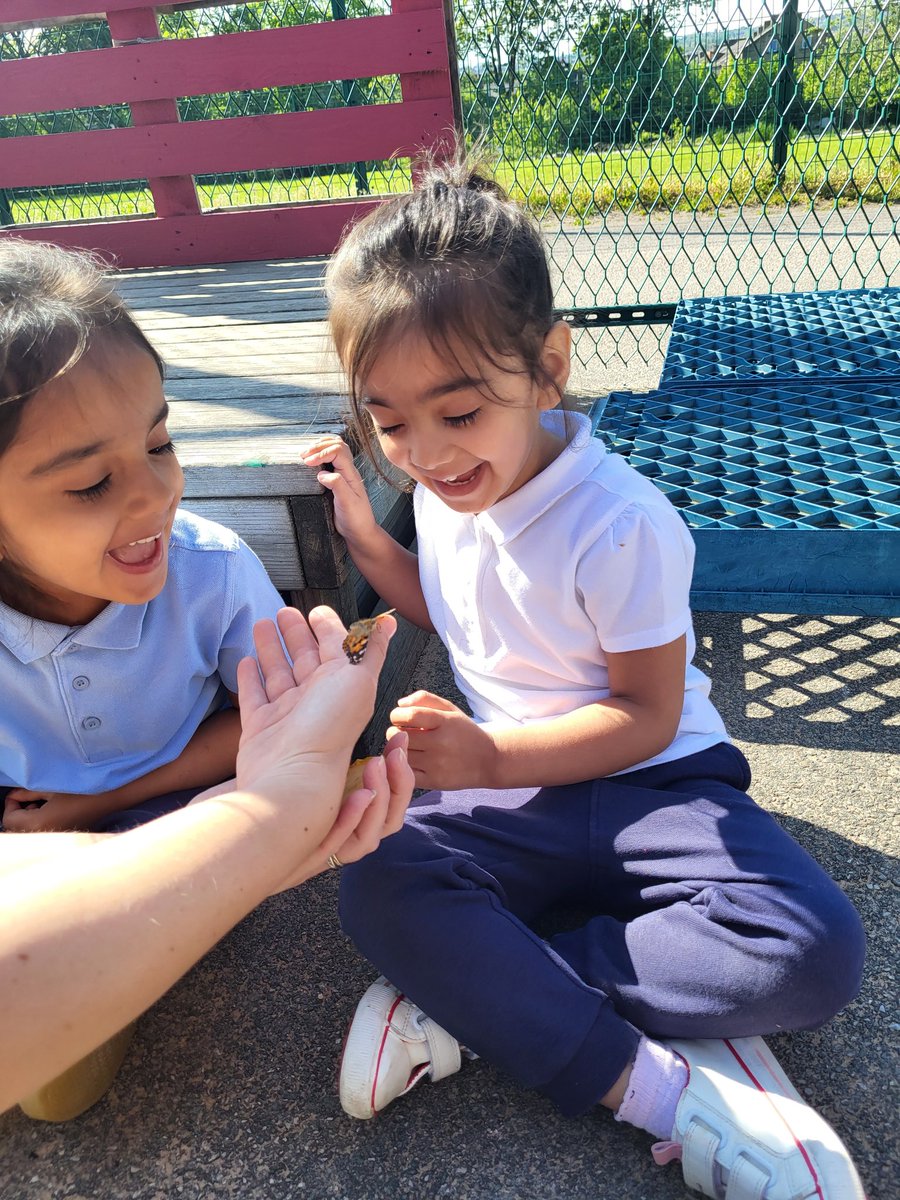 EYFSatStPhilips's tweet photo. Yesterday, we released five beautiful butterflies into our garden. "We need to make a flower garden for them to play in!" A (3 years old)
Today, we sprinkled butterfly and bee attracting flower seeds and watered them. @InsectLoreEU @savebutterflies @WeAreBDAT @STPHILIPSCE https://t.co/qWyJx4kKsV