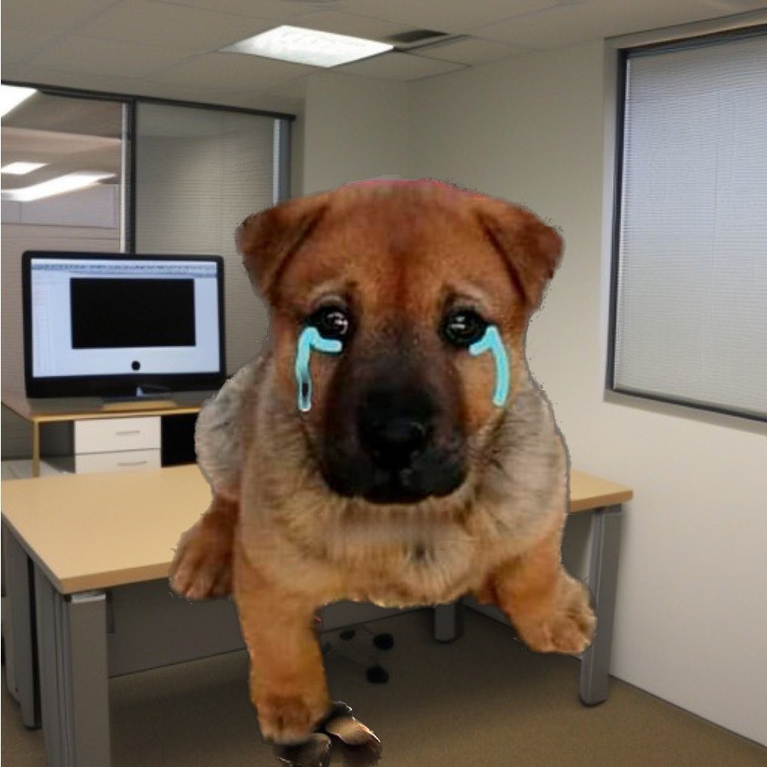 beyukito's tweet image. Yo con los adultólogos:

¿Por qué se burlan si nos emocionamos de que un bebé suba 20 gramos? Eso muy importante para el recién nacido y le ha costado mucho trabajo tolerar la vía enteral.