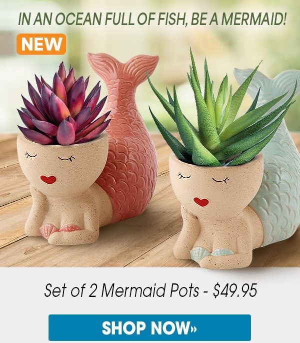 In an ocean full of fish, be a mermaid.
Shop Now: bit.ly/3BD5kl6