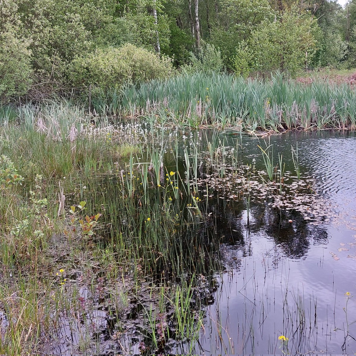 Prof Carl Sayer tweet media