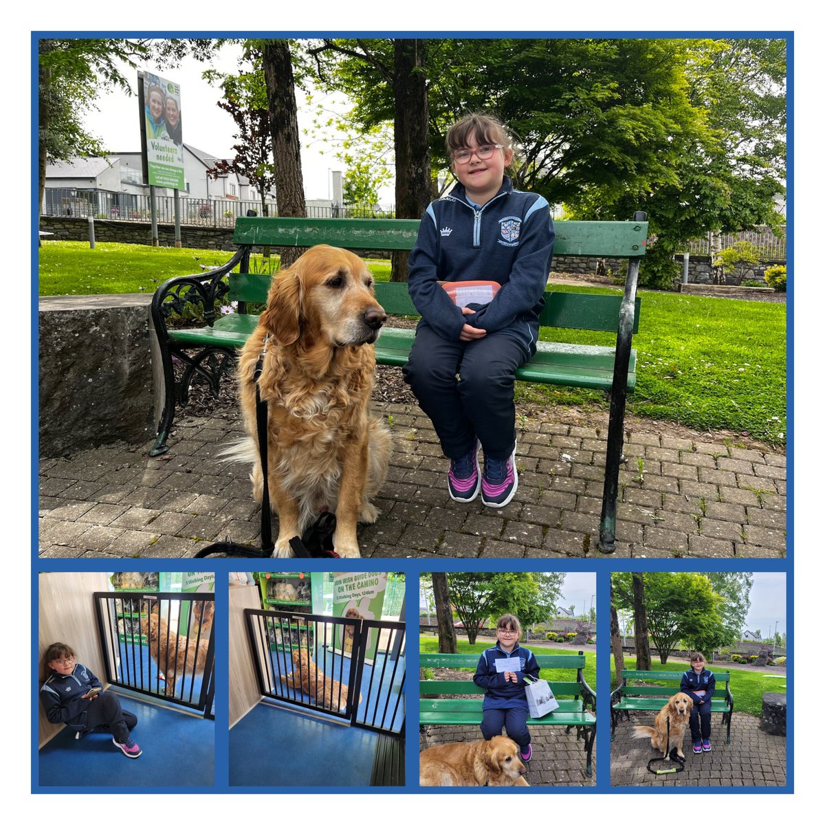 St Mary's NS Limerick tweet media