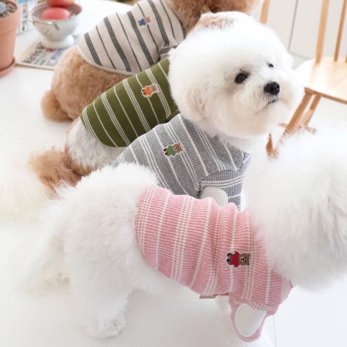Hoje foi liberada a nova camiseta Baby Bear Stripe, feita com um tecido elástico e macio, super confortável! Os modelos servem também para gatinhos e temos vários tamanhos. 🐻