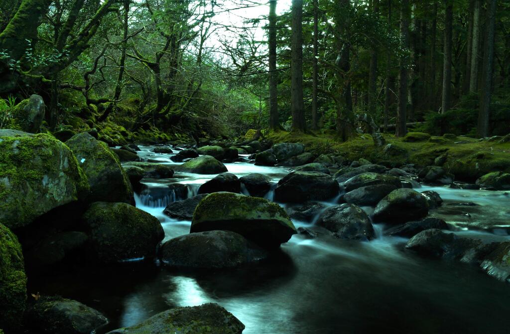 walkwithmeworld's tweet image. [OC] Killarney National Park, Ireland (5456x3575) via ift.tt/jD98XFh