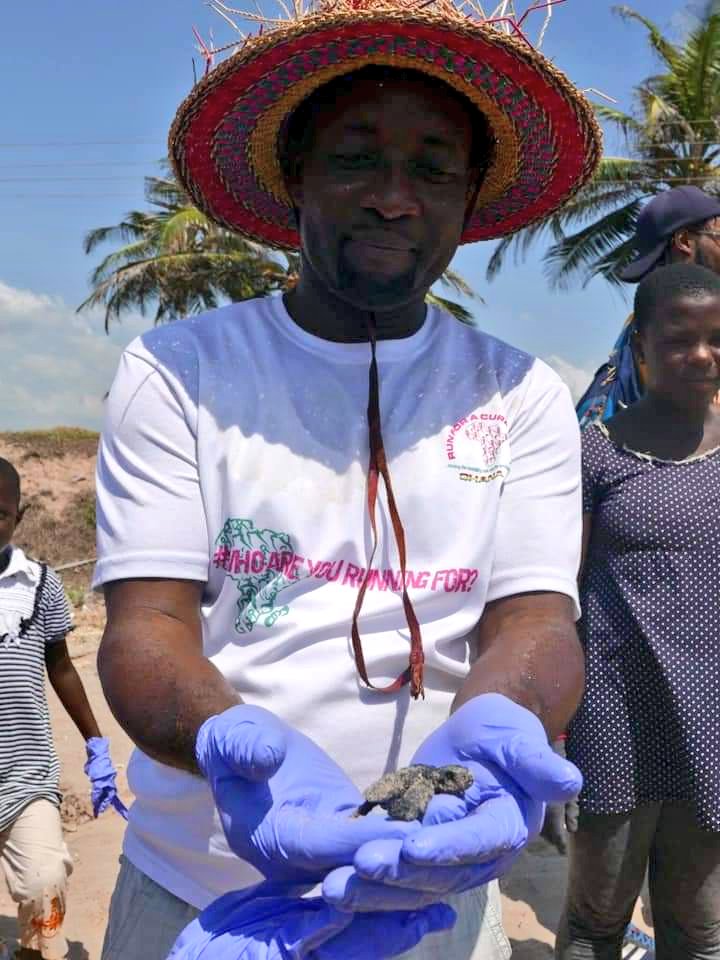PlasticPunchGH's tweet photo. We found a baby sea  turtle under all the plastics whiles cleaning the turtle nesting beach at the @coconutpointe in Ningo - PramPram on 10/11/2018 with @Artofchange21 #Maskbook.

It was safely released into the Ocean. Every small action counts #BetheChange.

#TurtlesDay 🌊🌍🅿️🥊 https://t.co/kDM0RNicok