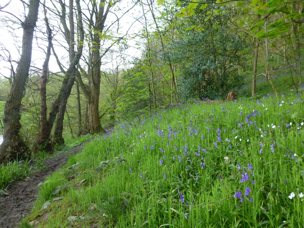 Evening stroll #Northyorkshire