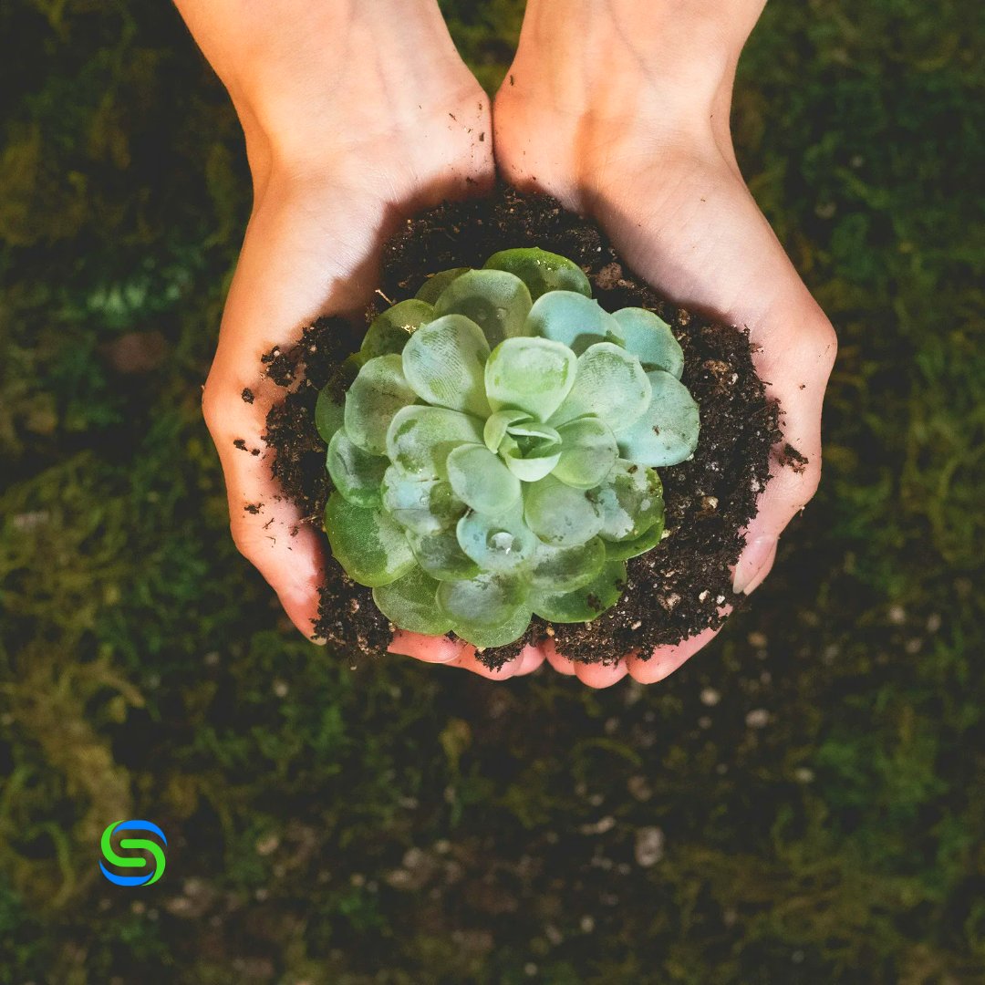 La maggior parte di noi dà spesso per scontata la comunicazione nella vita di tutti i giorni, ma quando si tratta di tematiche ambientali una comunicazione efficace e corretta è essenziale.
➨ buff.ly/42ABWYM

#energierinnovabili #renewableenergy #comunicazioneambientale