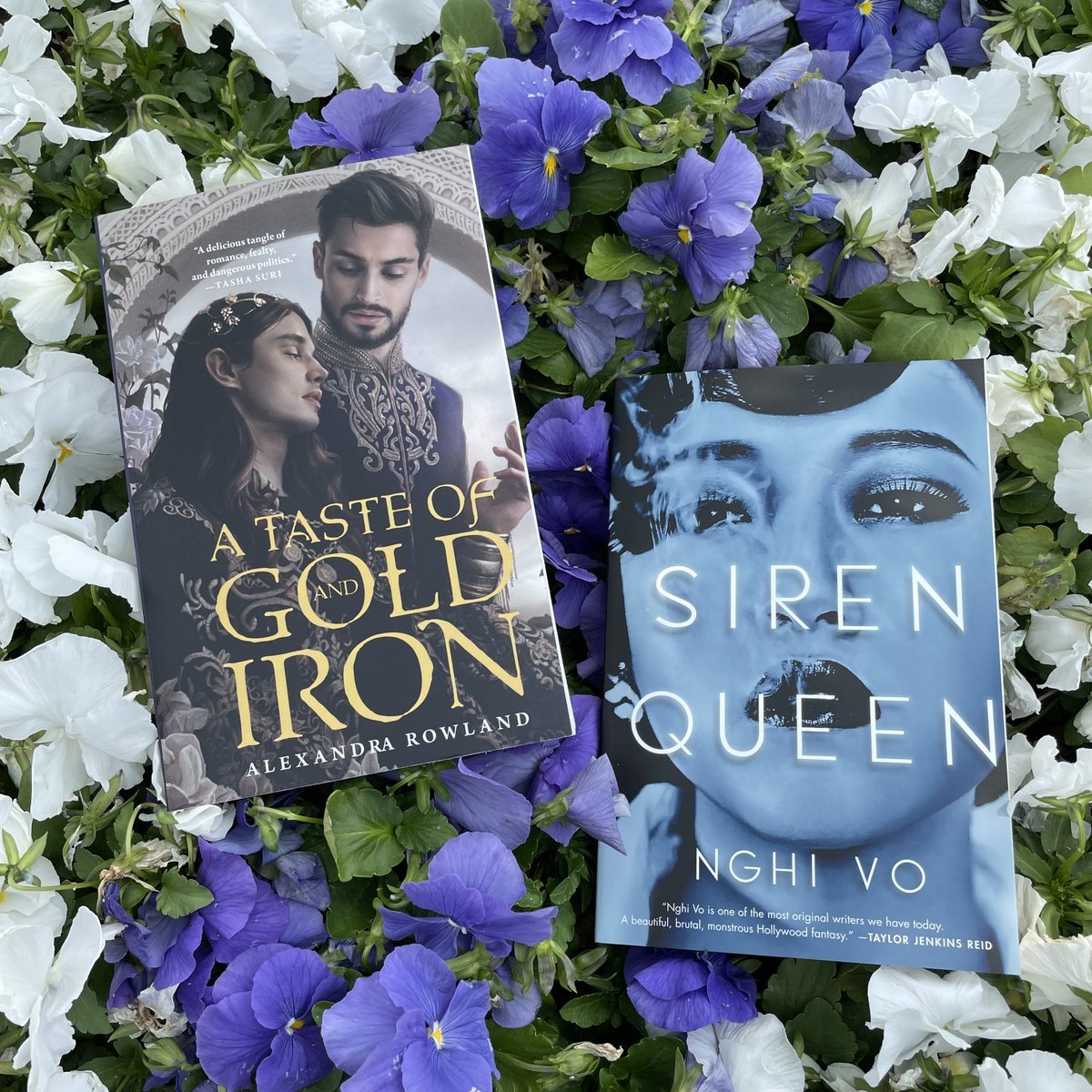 TorDotComPub's tweet photo. Today is a big day for #teampaperback! 

Siren Queen by @NghiVoWriting &amp; A Taste of Gold and Iron by @_alexrowland are now available in paperback!🤩 https://t.co/wbPEE4lUd7