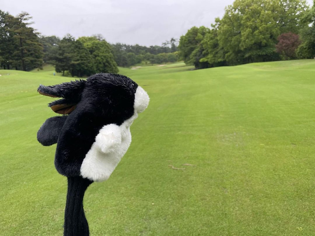NoboruOhhashi's tweet photo. 今日は、お取引先との懇親ゴルフでした⛳️終日、雨だったけど楽しかったぁ🤗

#ゴルフ #ごるふ #golf #GOLF #マスターバニー #パーリーゲイツ #うさぎ #ウサギ #埼玉 #東松山市 #東松山カントリークラブ https://t.co/NW3crQjd56