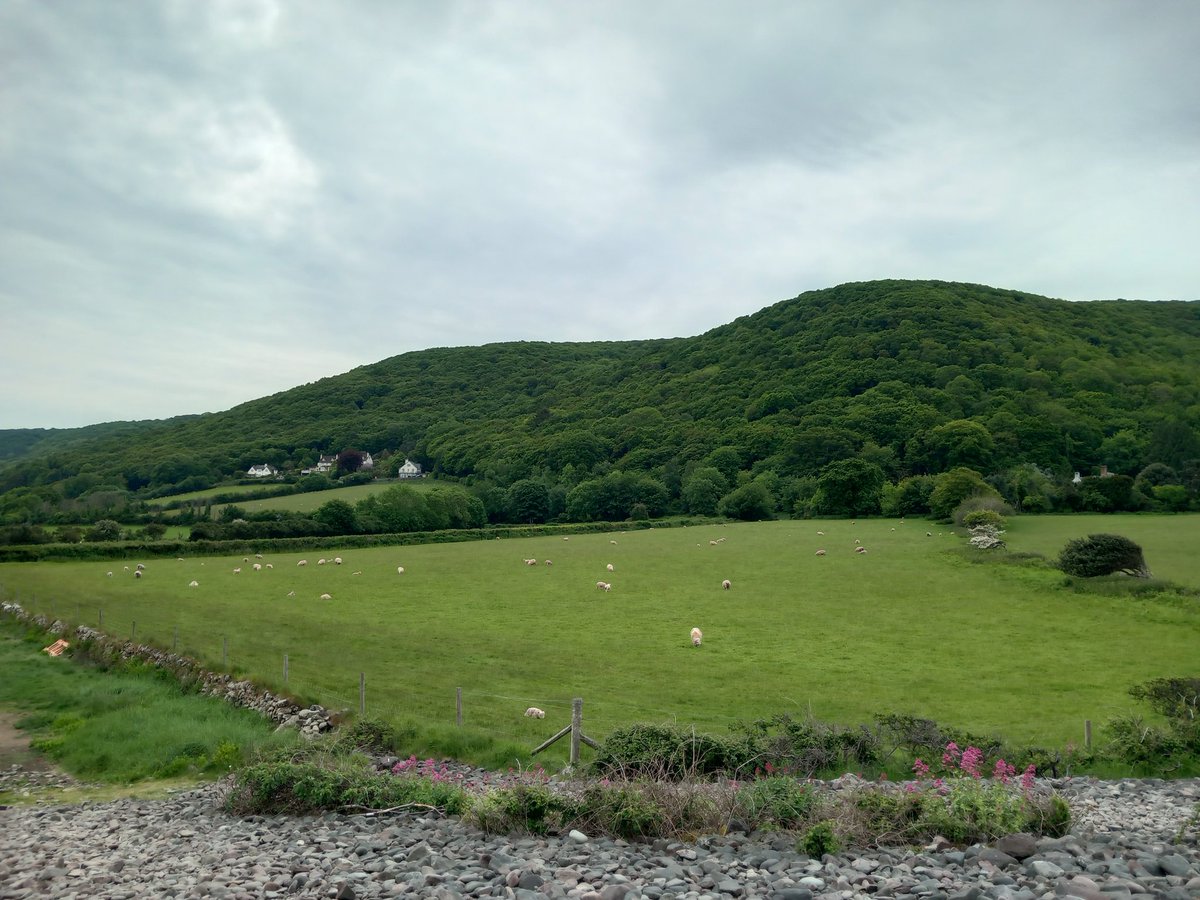 Bromley High School Science tweet media