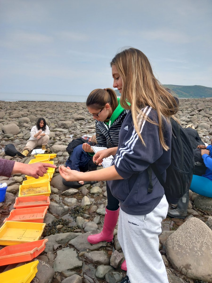 Bromley High School Science tweet media