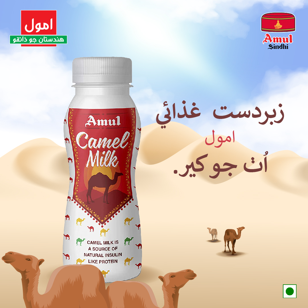 اُٺ جو کير ڊائيابيٽس لاي بهترين اُپيوگي آهي 

Camel Milk helps manage Diabetes better.

#camelmilk #amulmilk #amulsindhi #amulindia #amulinsindhi #amul #sindhi #sindhifood #sindhiculture #sindhiswag #amulsindhiswag #amulgirl