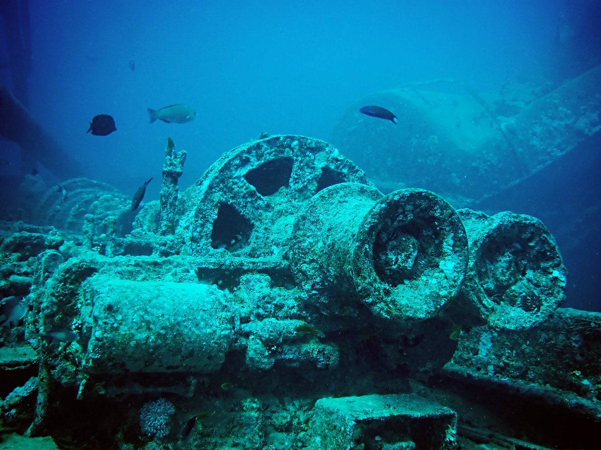 Check out these breathtaking photos of the SS Thistlegorm wreck in the Red Sea. Who's up for an unforgettable diving adventure? #ShipwreckDiving #UnderwaterExploration