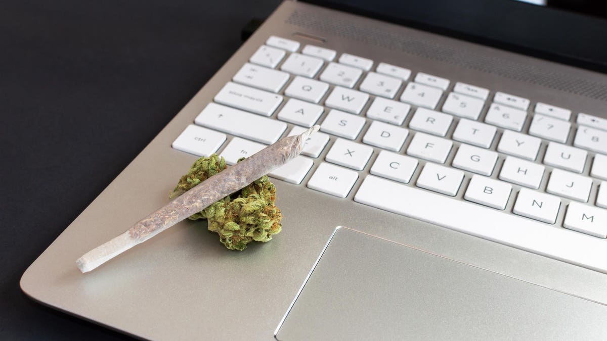 Forbes's tweet photo. A Record Number Of American Workers Are Using Cannabis—That Doesn’t Mean They’re High On The Job https://t.co/ntvFfdKMEy https://t.co/QoXKfILbLH