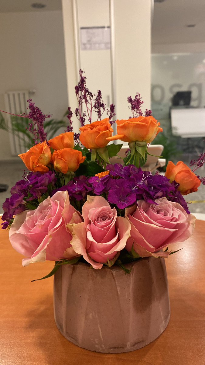 dooolunay's tweet photo. Dünyanın en güzel çiçekleri bende 🧡 @ErdalDemirkan1 https://t.co/Z4lbr2W4IL