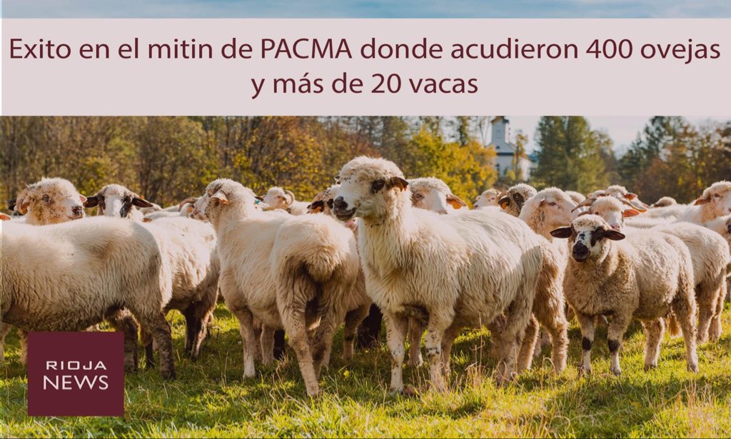 🔴 ÚLTIMA HORA Elecciones 28M

Éxito en el último mitin de <a href="/PartidoPACMA/">PACMA</a> donde acudieron 400 ovejas y más de 20 vacas

#Elecciones28MLaRioja 
#RiojaNews