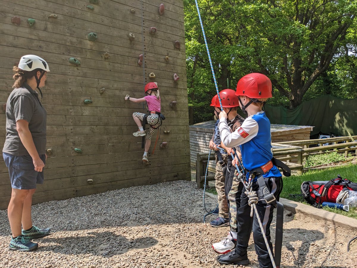 Northleigh Natterjacks tweet media