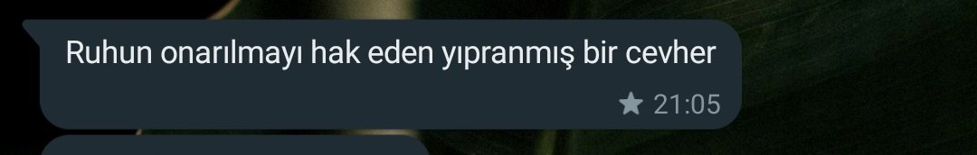 Az önce yakın arkadaşım şöyle bir mesaj attı...