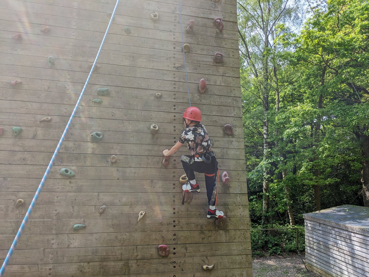 Northleigh Natterjacks tweet media