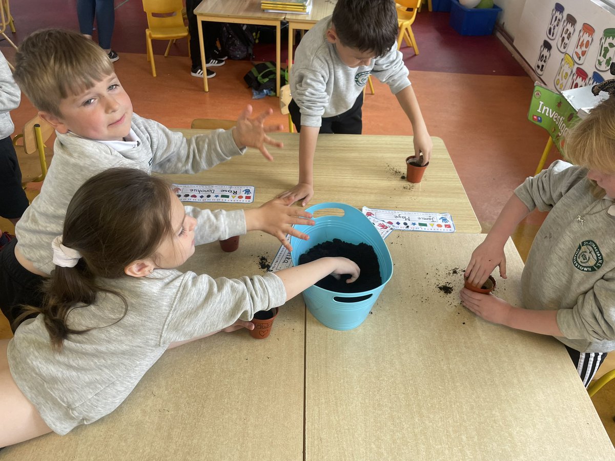 Ms Ruane’s Class tweet media