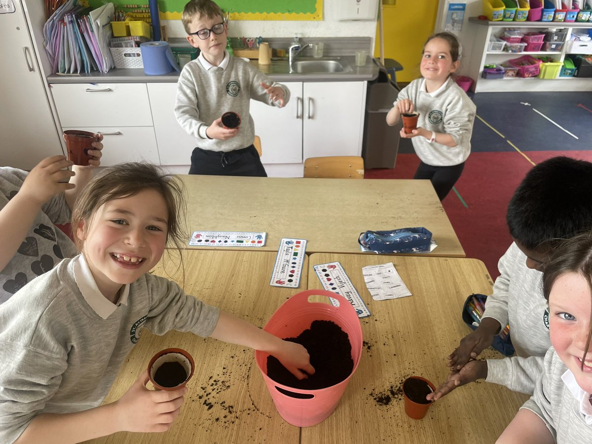 Ms Ruane’s Class tweet media