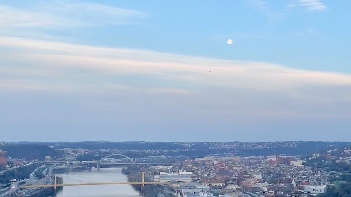 Dan McVeagh tweet media