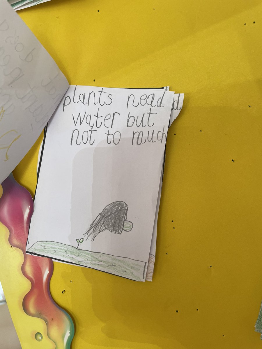 Ms Ruane’s Class tweet media