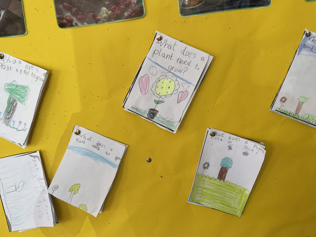 Ms Ruane’s Class tweet media