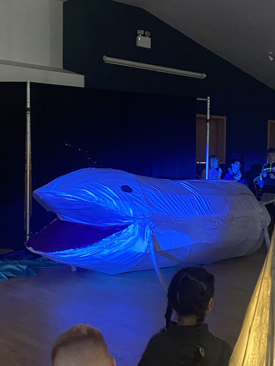 BarnacogueNS's tweet photo. What a fabulous day collaborating in our very own show with our friends from @CastlebarEtns & St Anthony’s Special school! Music, song, movement, drama & circus skills! Happy to have saved Moby #creativity #empathy #creativecluster @DCUCMS https://t.co/a4DeLWaueC