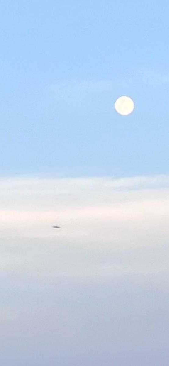 Dan McVeagh tweet media