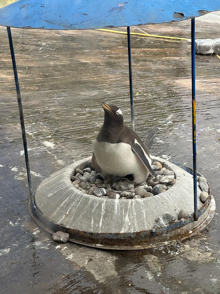 Morgan Biology tweet media