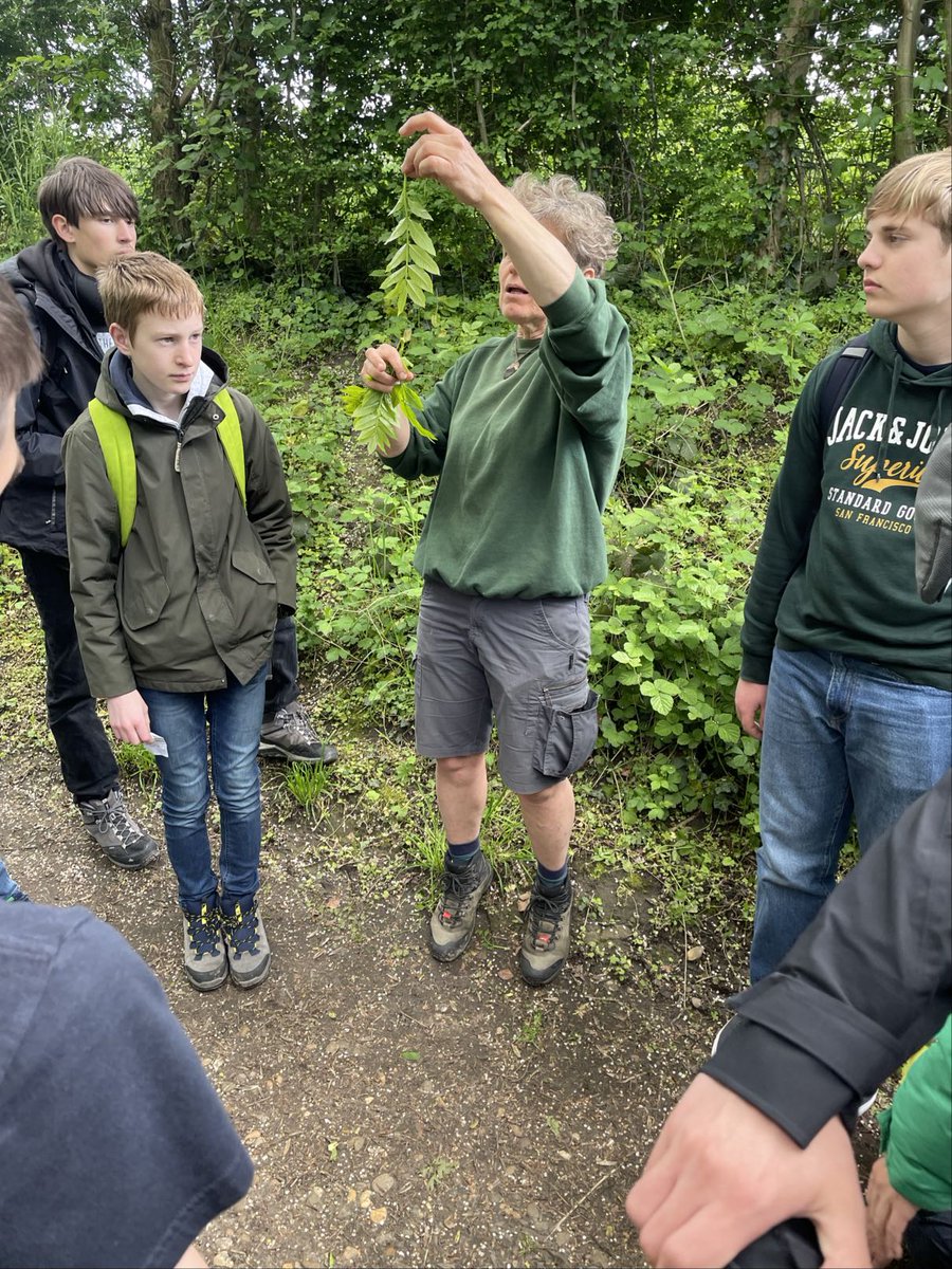 BAPitzemburg's tweet image. en leerden ze alles over de geneeskundige kruiden en planten op en rond de prachtige Beukenberg, gelegen op het vroegere Romeinse aquaduct. #topdag #ExperiencedBasedLearning @GO_onderwijs #helemaalGO (2/2)