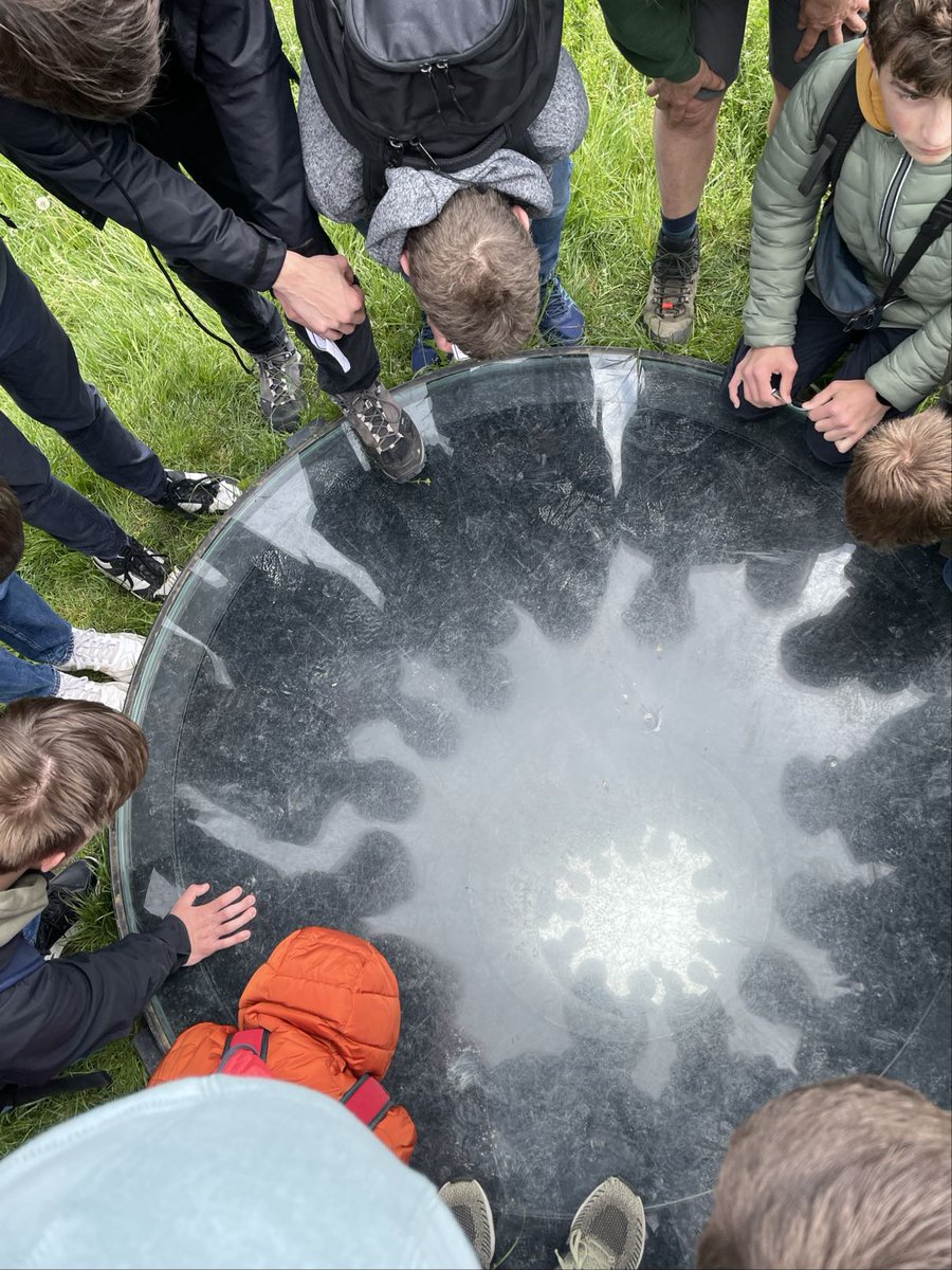 BAPitzemburg's tweet image. en leerden ze alles over de geneeskundige kruiden en planten op en rond de prachtige Beukenberg, gelegen op het vroegere Romeinse aquaduct. #topdag #ExperiencedBasedLearning @GO_onderwijs #helemaalGO (2/2)