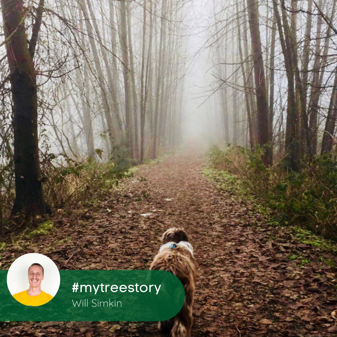EcoTreeMe's tweet image. Every #tree has a story, this is Will&apos;s:

&quot;Through my youth and to today it&apos;s always been a place that both calms and invigorates me. Whenever I&apos;m back in town I like to walk it again, its effect on me has never changed.&quot;

#mytreestory