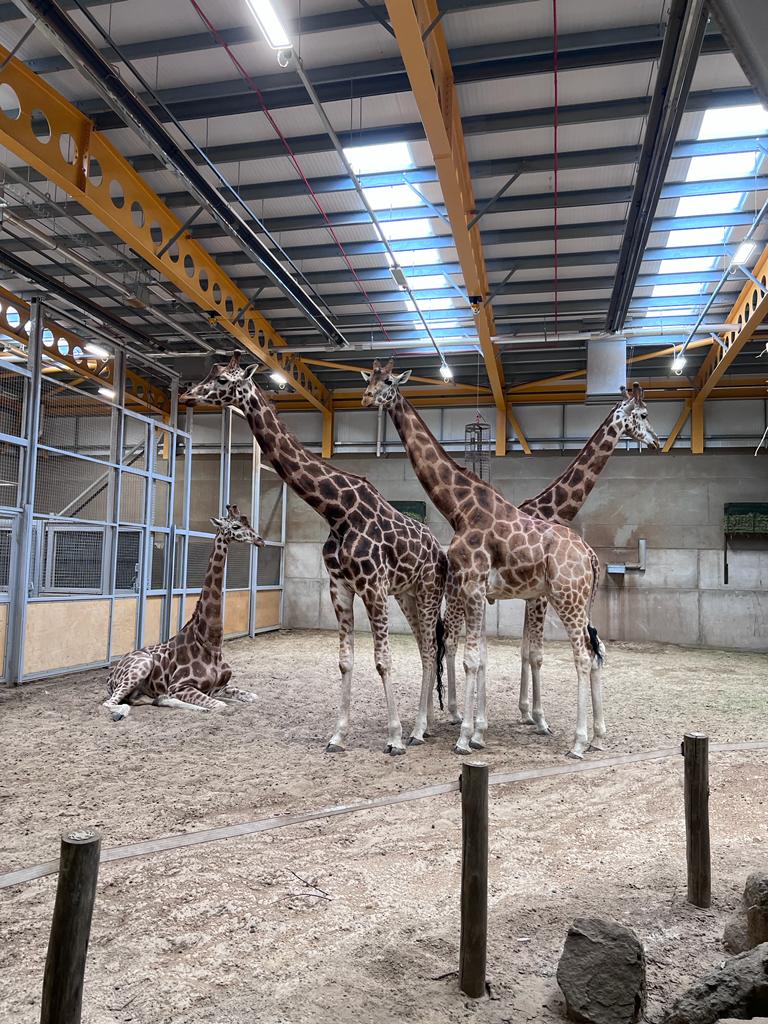 Morgan Biology tweet media