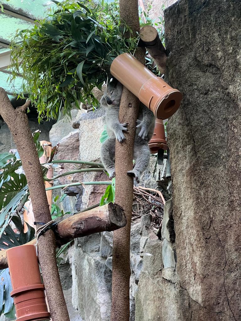 Morgan Biology tweet media