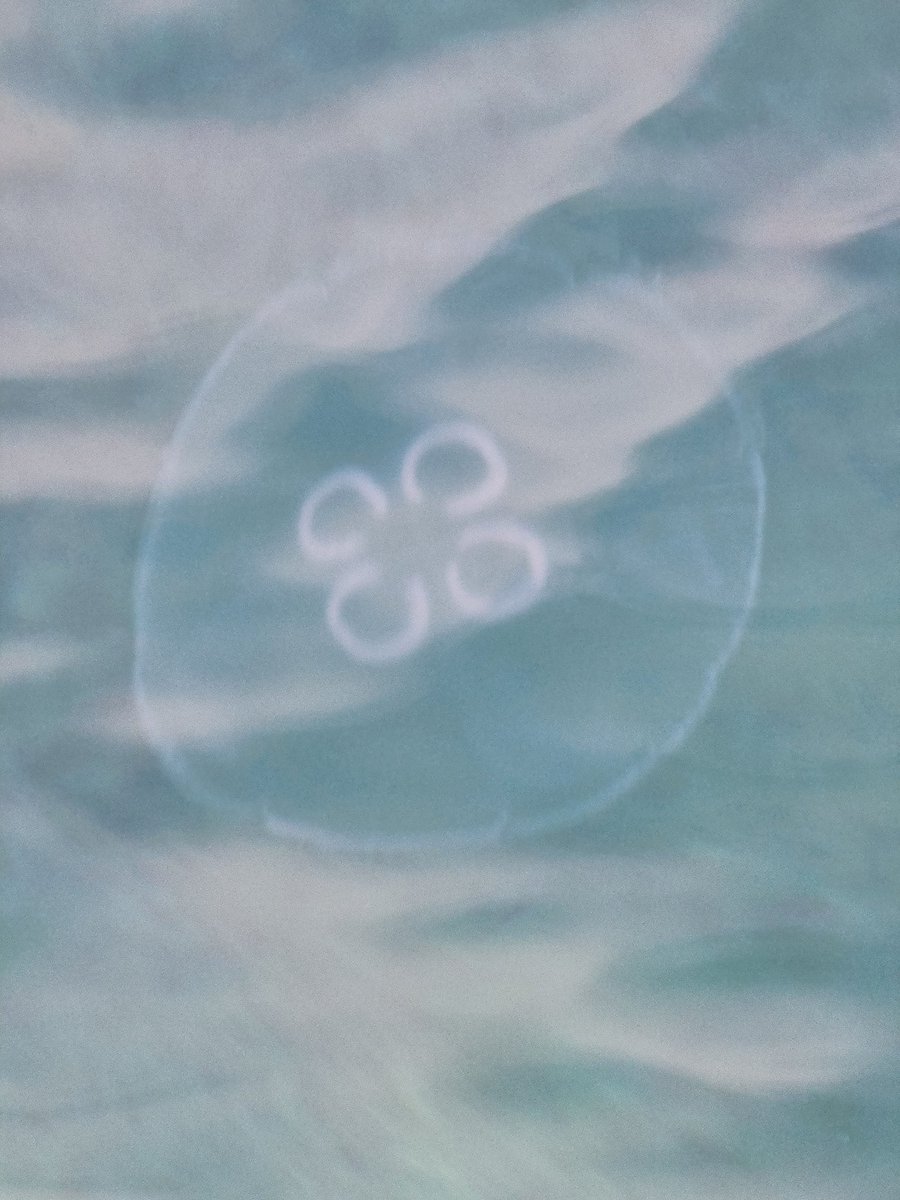 Andy Wiseman tweet media