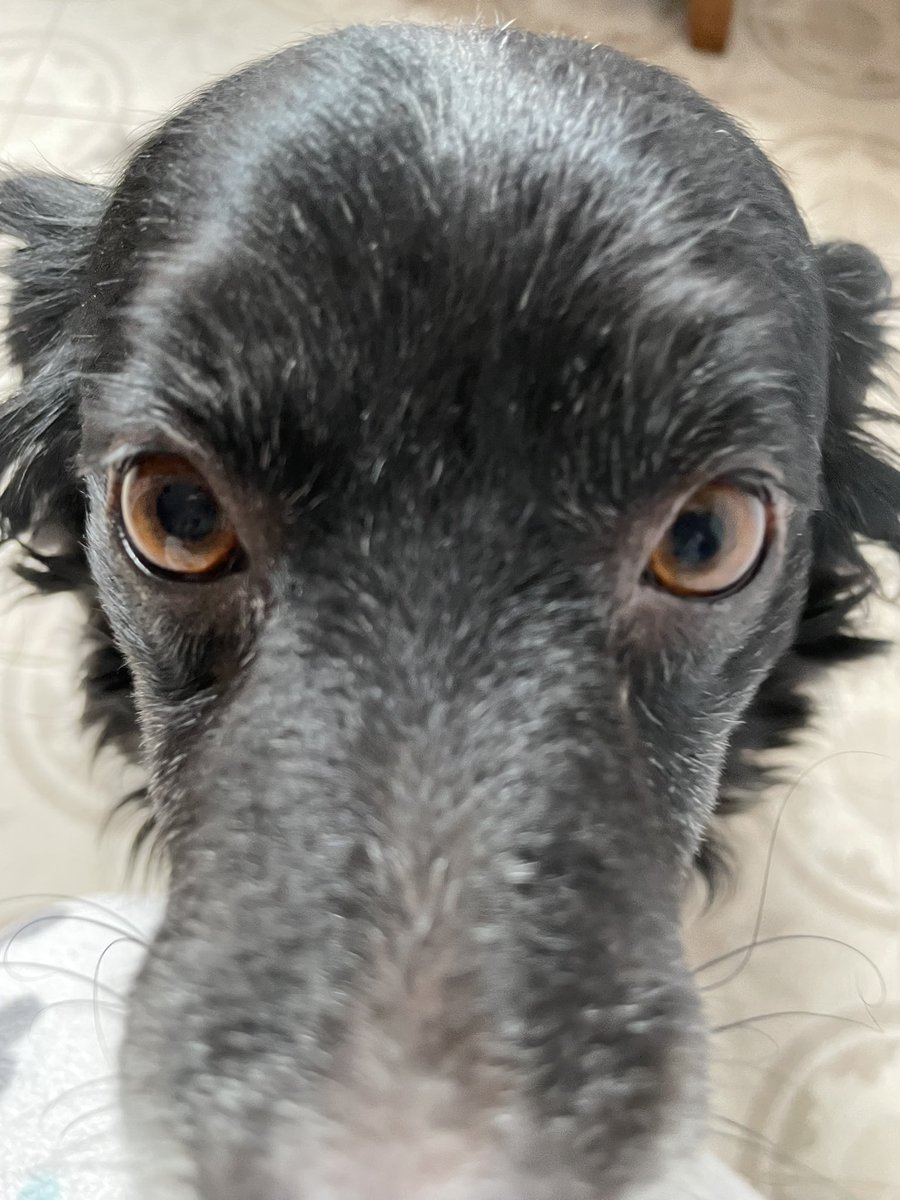 lusi (@lonchavelasco) on Twitter photo 